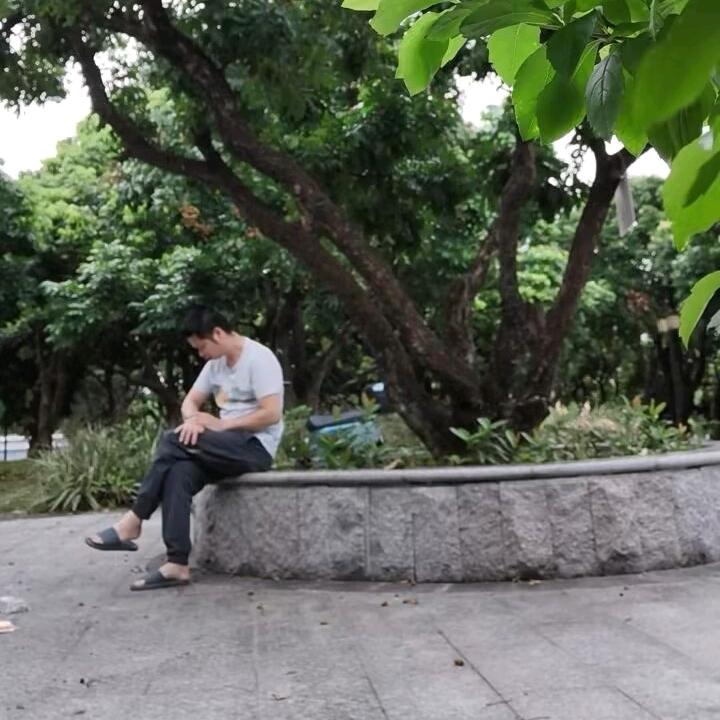 枫林