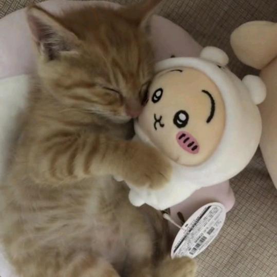 霽（霁）月（2G网版）