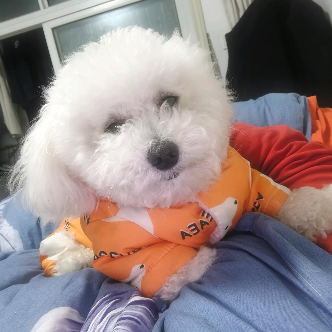 ✨💕ꦿ᭄情有独✨钟༉ᩚ᭄