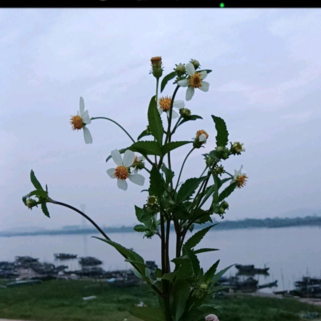起风了🧸