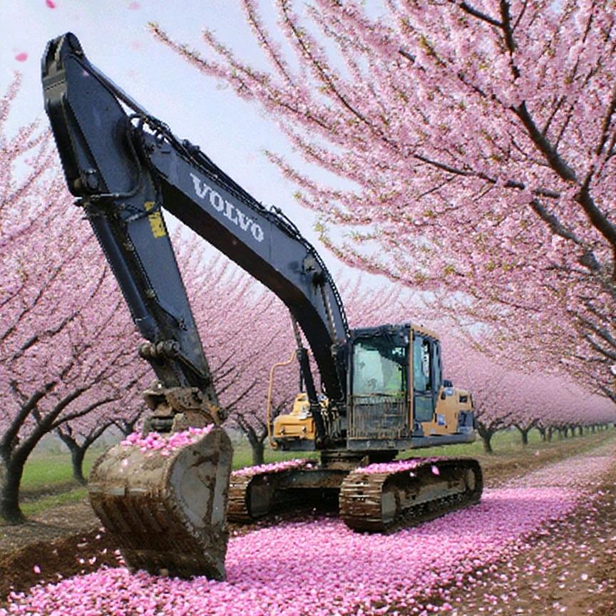 𝑙𝑖𝑡𝑡𝑙𝑒𝑙''扑梦成空