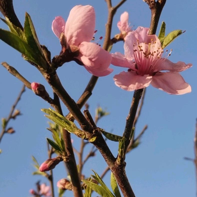 @微笑面对人生😀