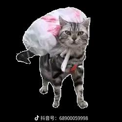 风吹来的温柔