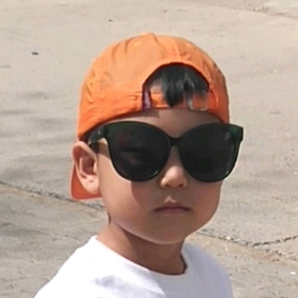 大华环保电磁脉冲阀-韩洪洲