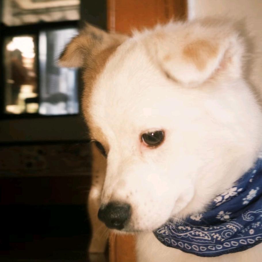 漪漪