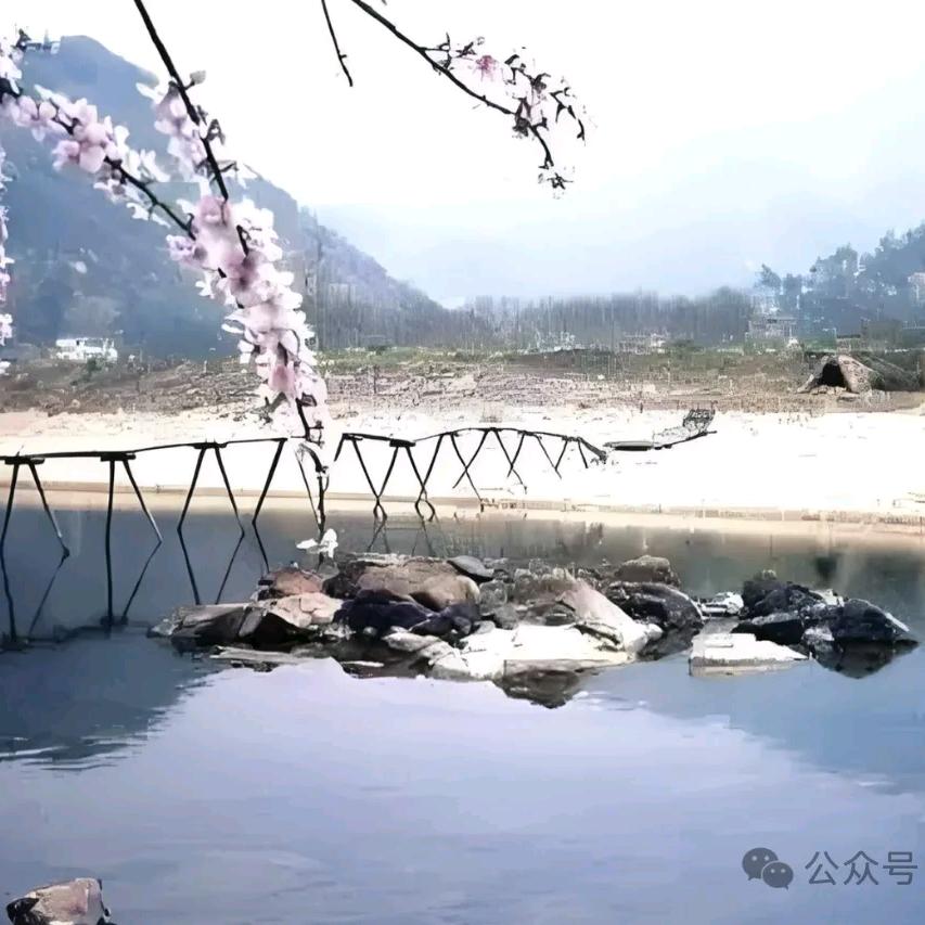 未来不是梦