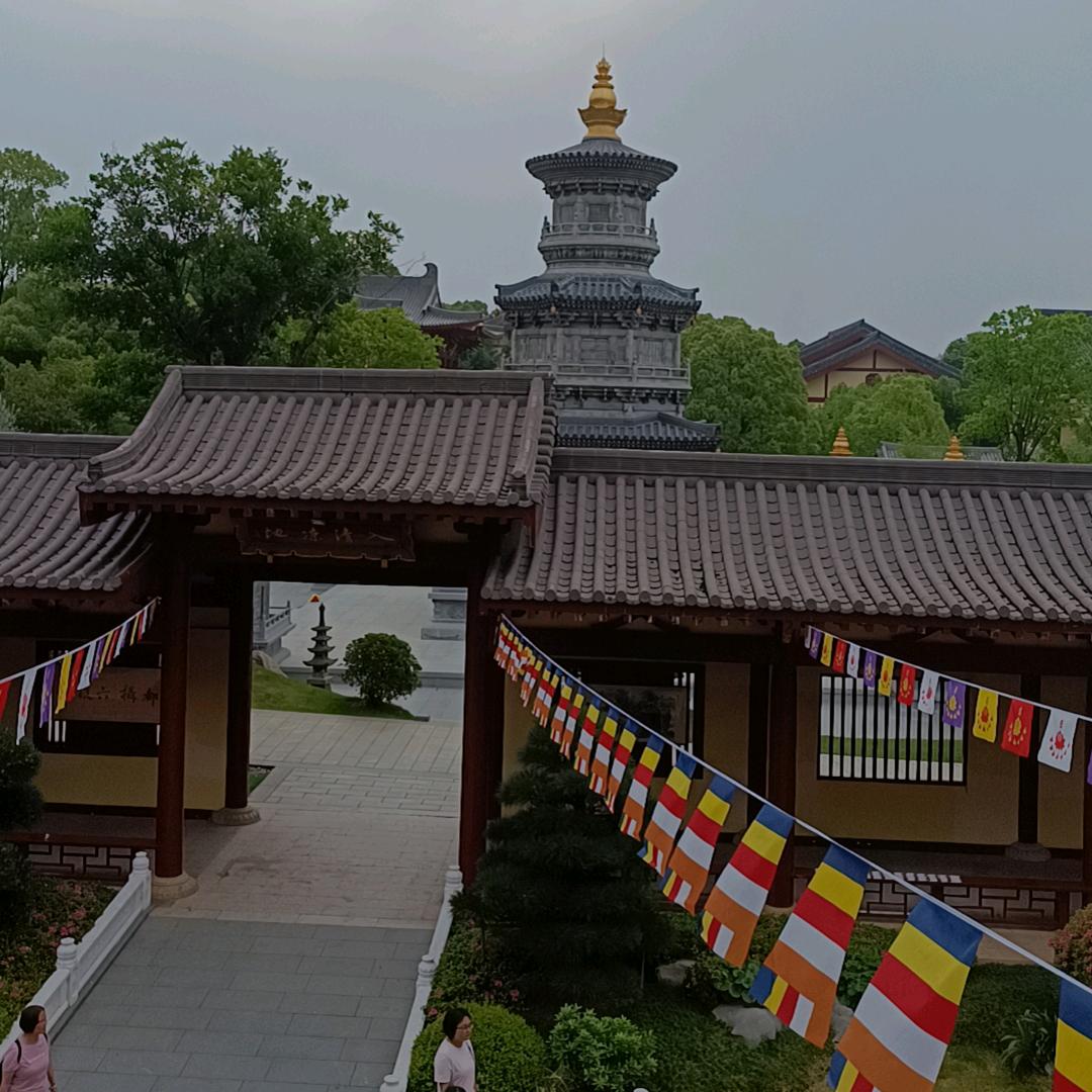 情感顾问