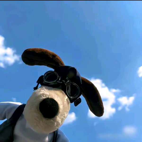 重生之我在抖音摸鱼