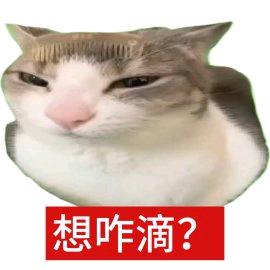 4021