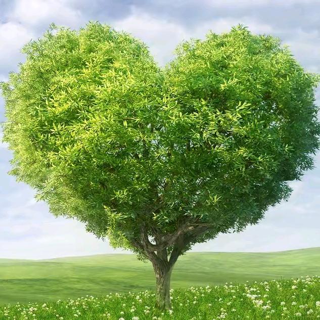 真心喂了单身狗