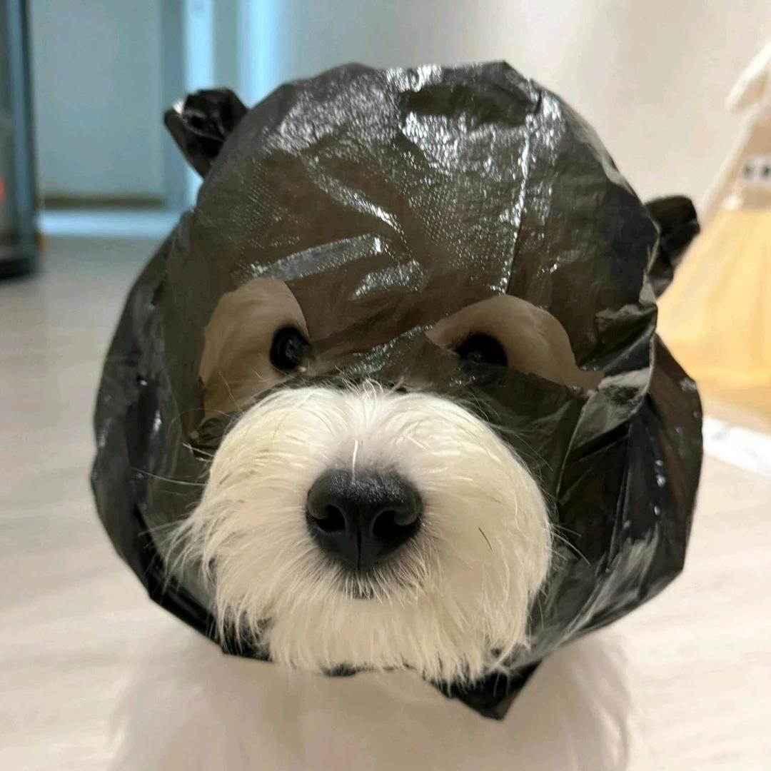 锦弦老师