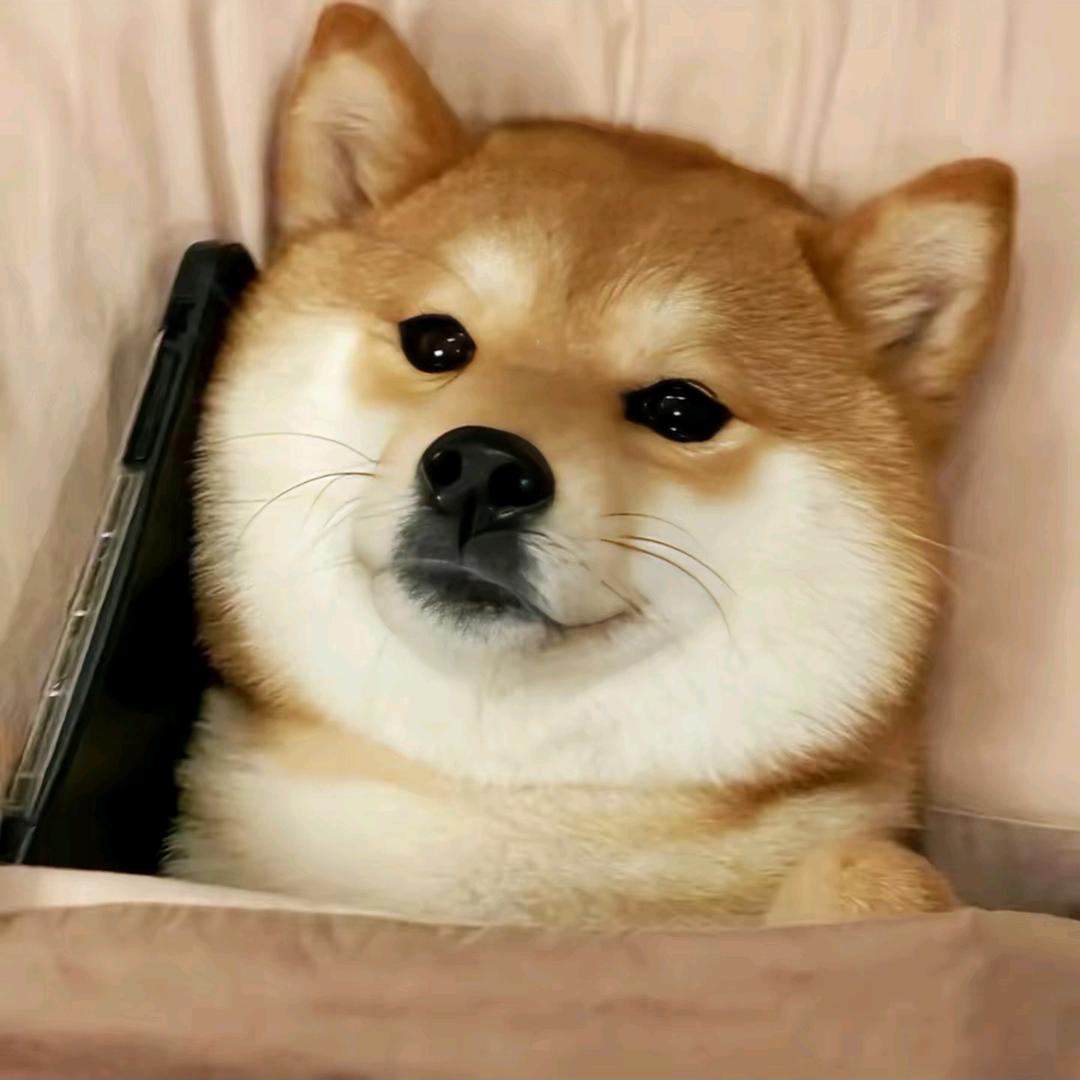 小郑