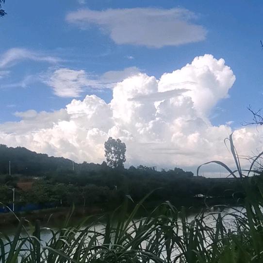烟语