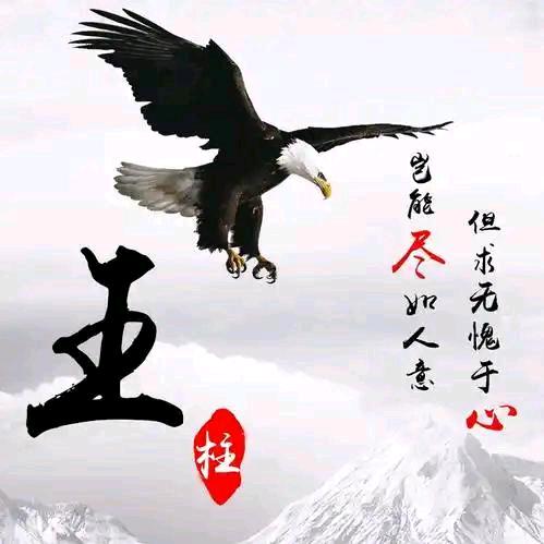 东泥建筑队