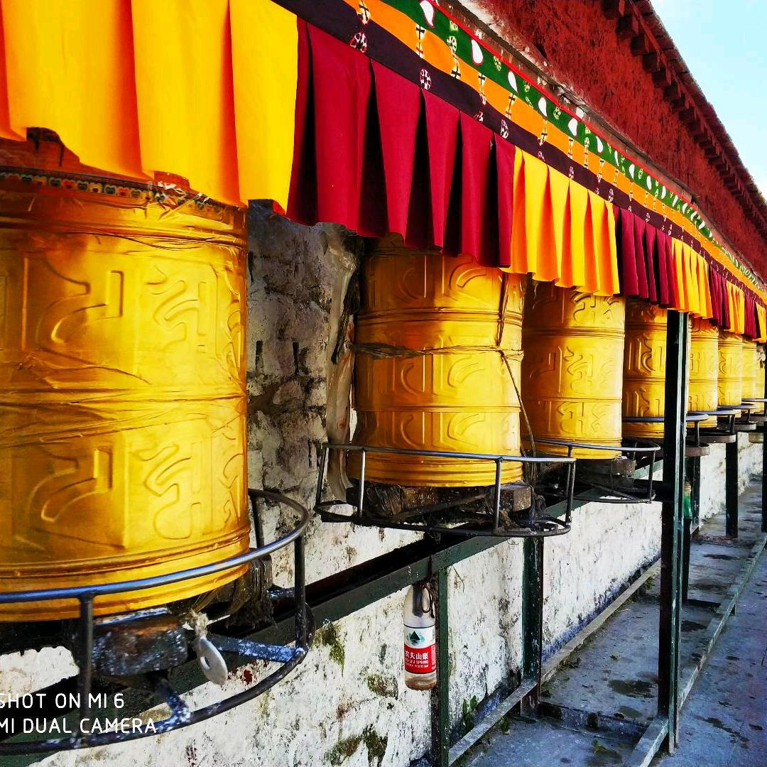 浪迹天涯的蜗牛🐌