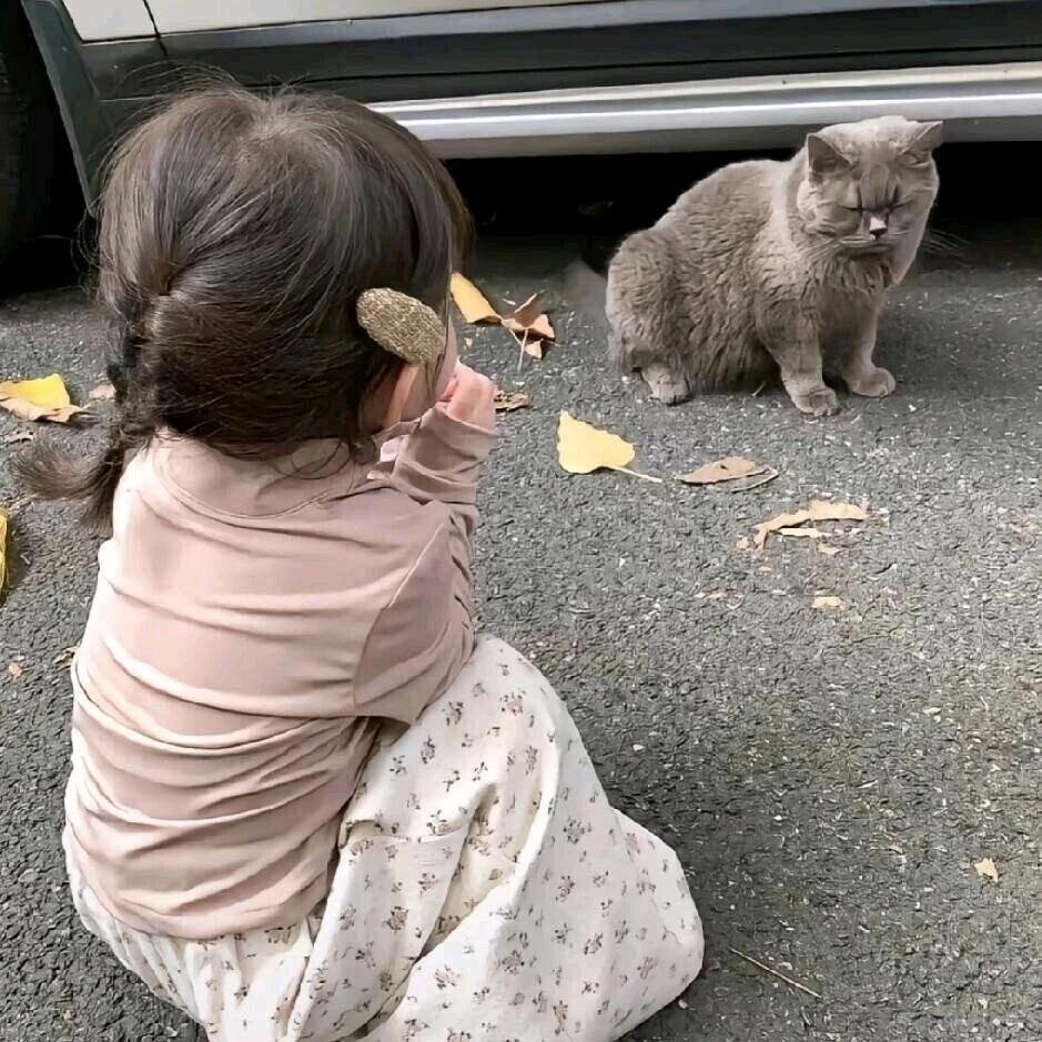 小7.