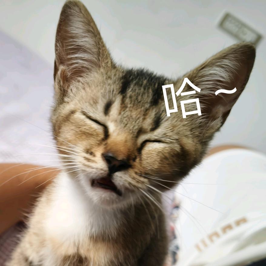 云云云吞