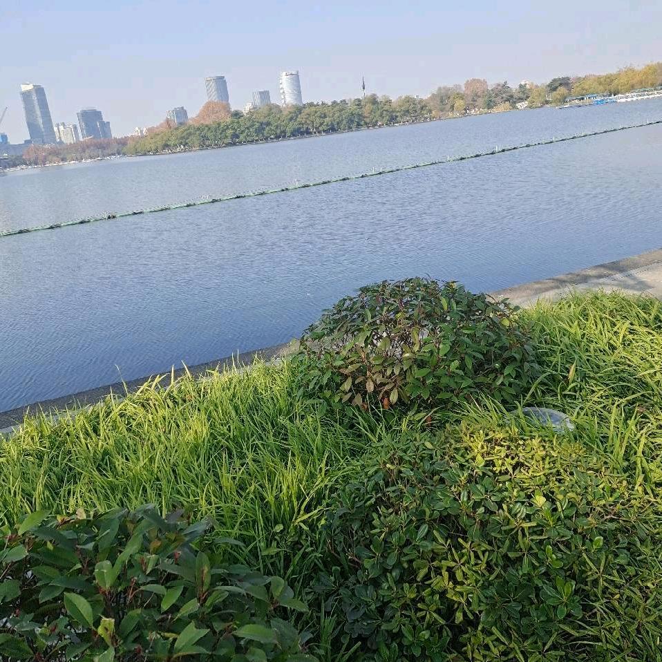 一切从零开始💅✍