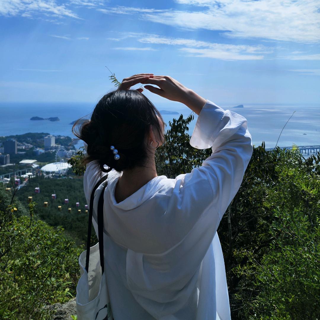 葵花鹿（躺不平版）