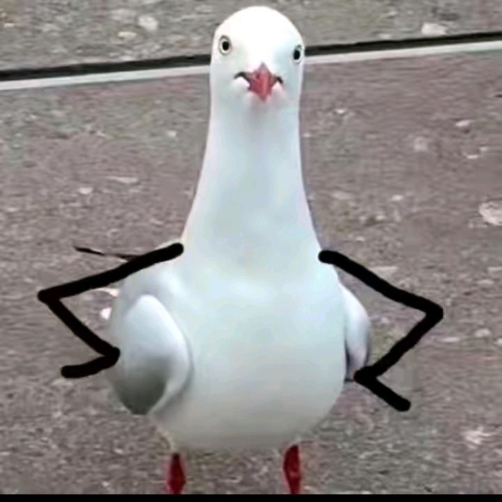 扣扣