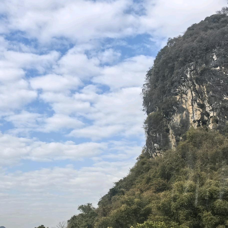 不吃蛋挞（披萨版）