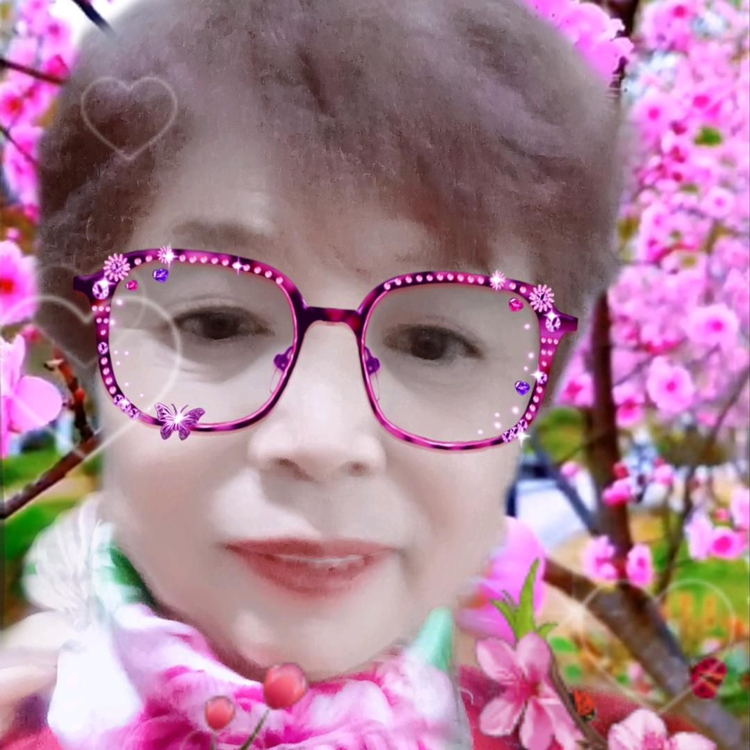 鹏鹏奶奶～57年生(≧∇≦)/