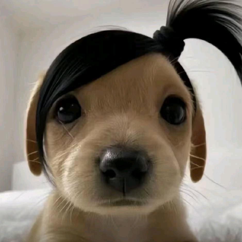 伱號