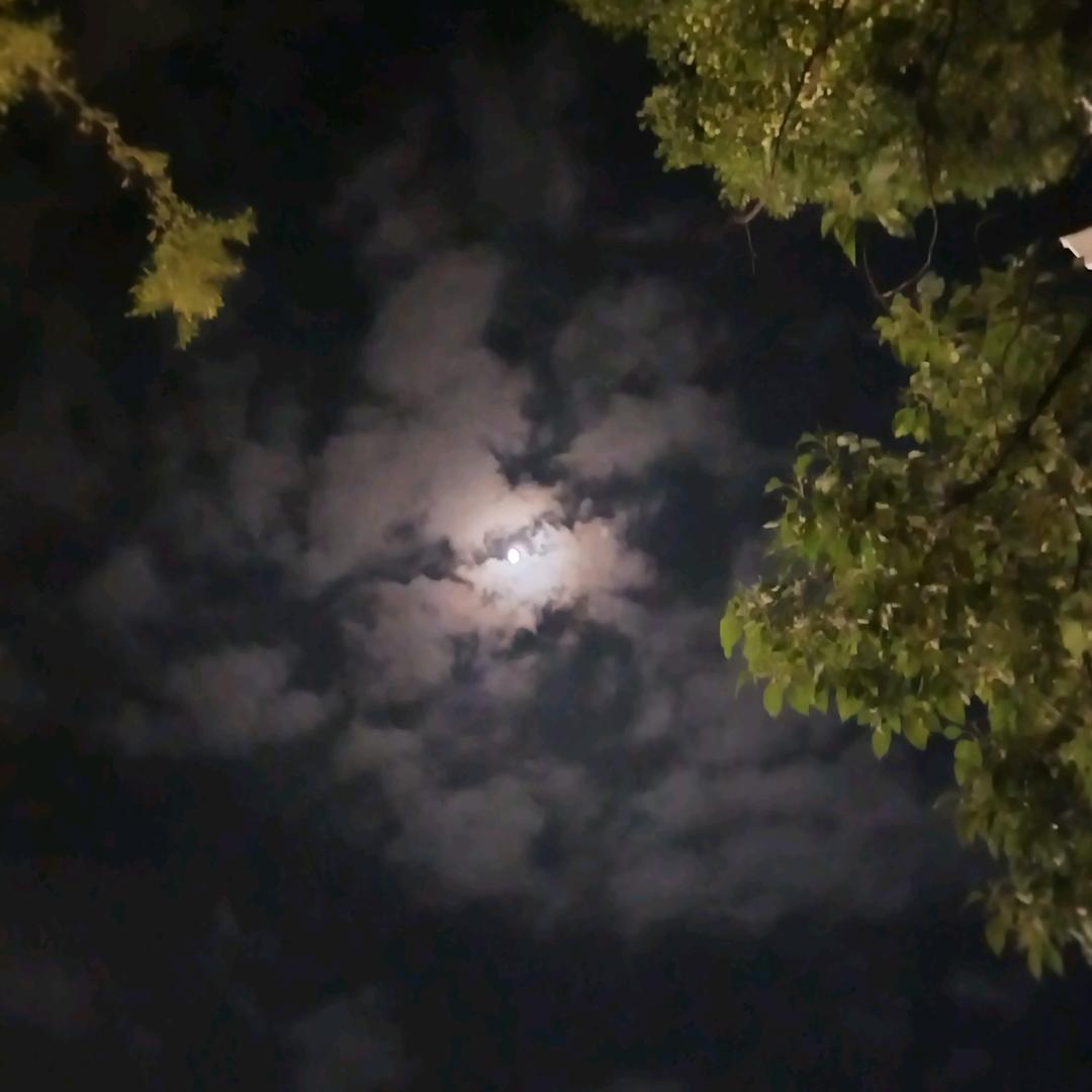 等雨停等风来