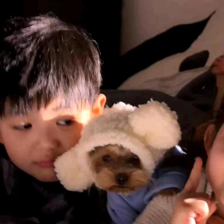 曾经兔子