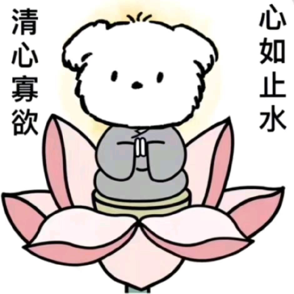 中岳文武汪教练