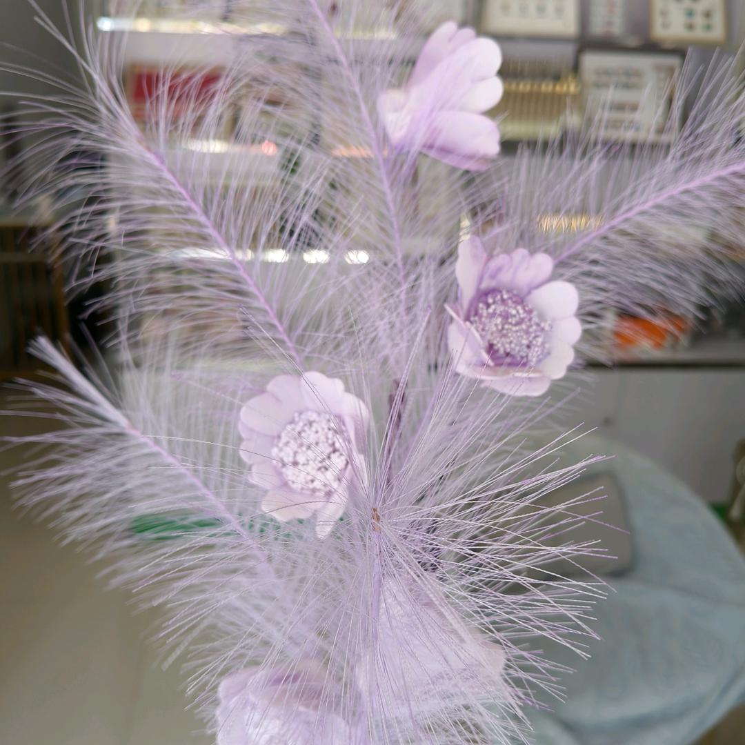 武定卖房子的小傣妹