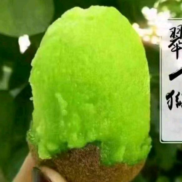 幸韵猕猴桃