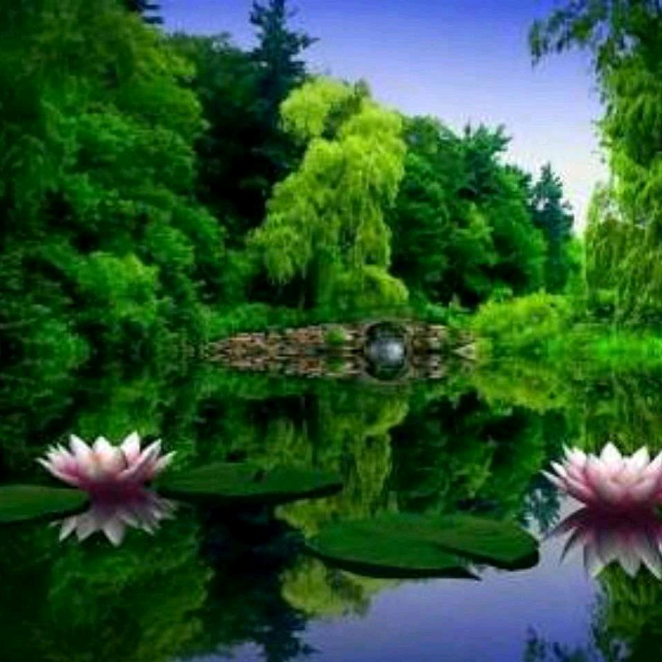 爱在心里 🌹🌹