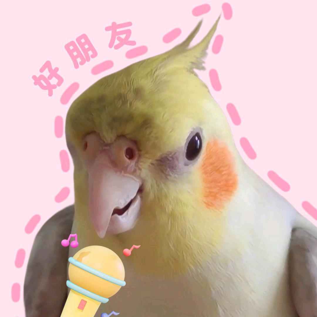 哈密呱（好朋鸟）