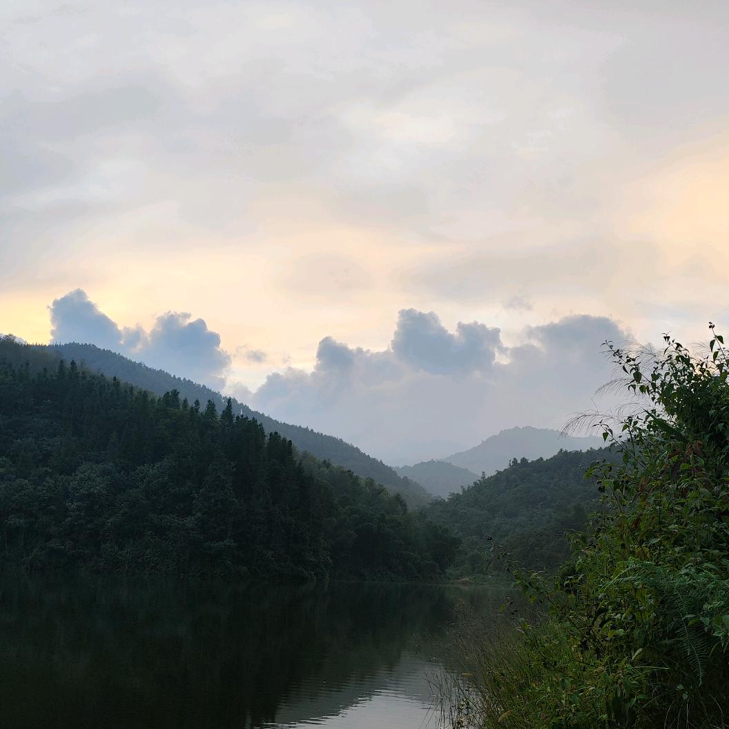 小杨