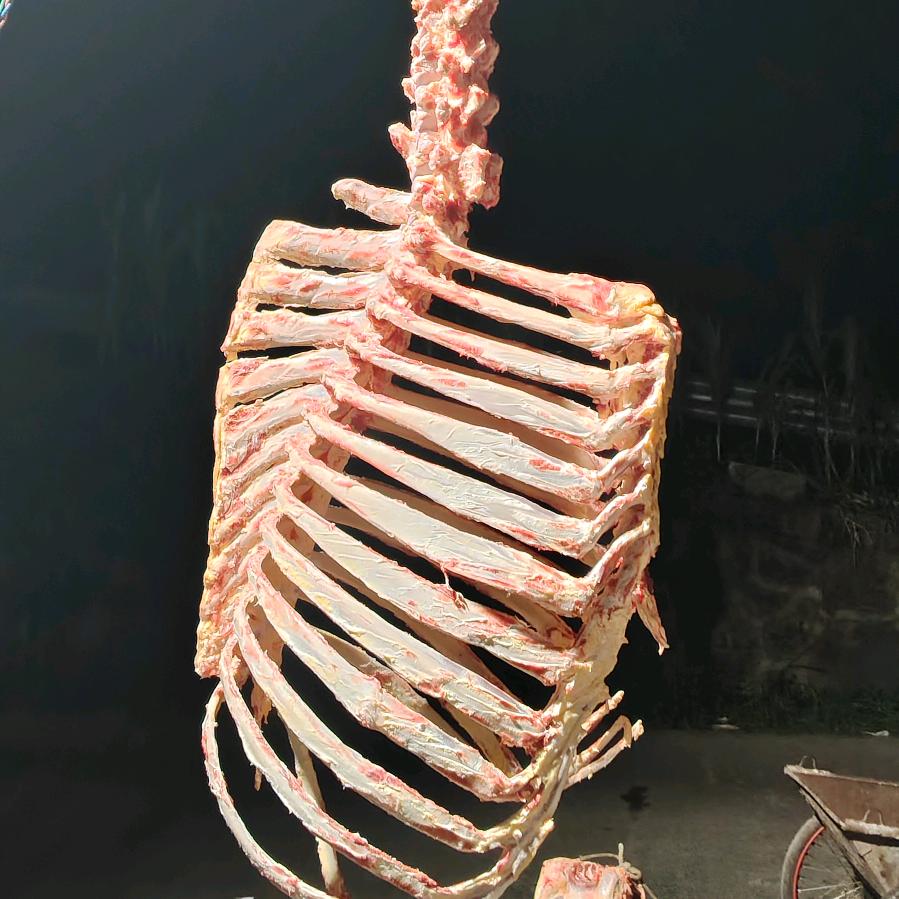 小黄牛