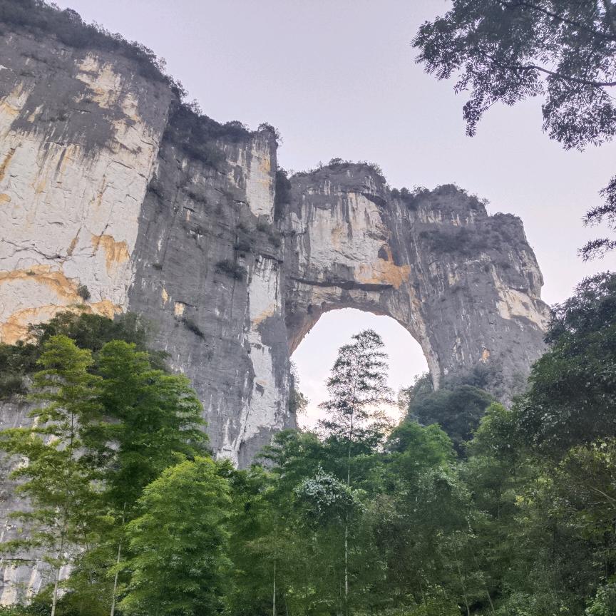 ☞不加糖先生❦