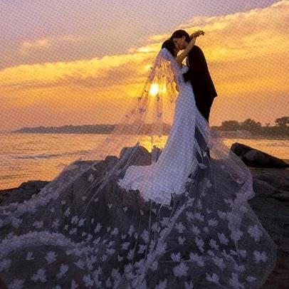 婷崽摆烂记