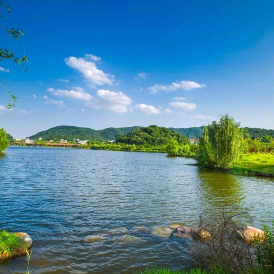 佛渡有缘人（田阳）