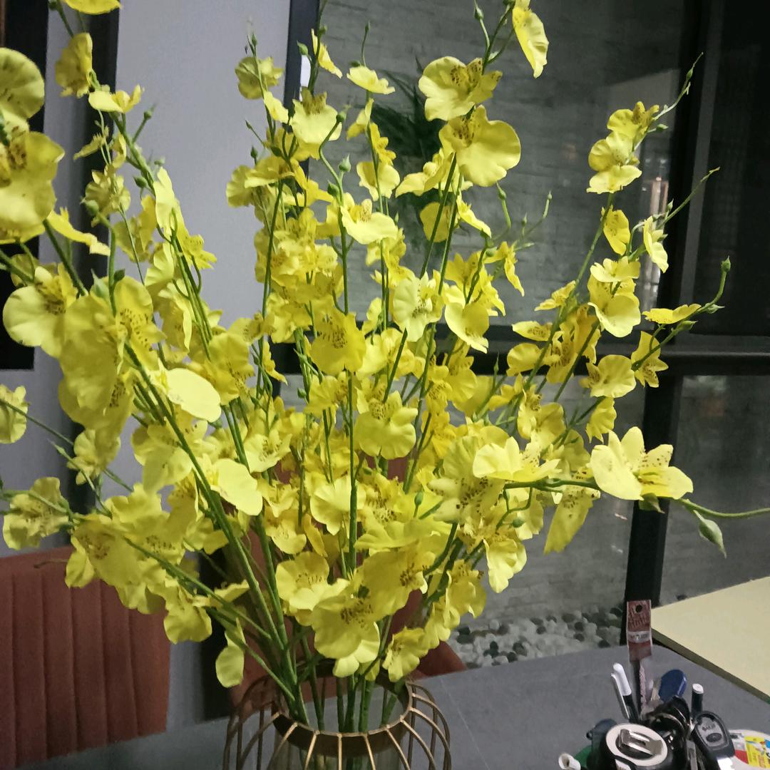 小小酥