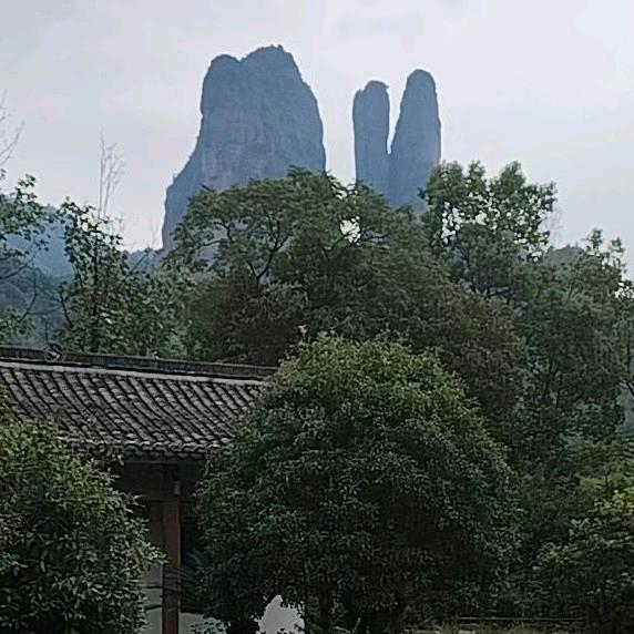 进抖音只是看美女