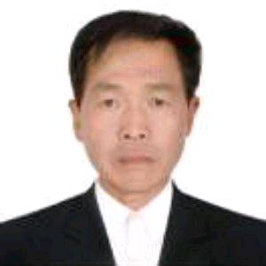 树上走