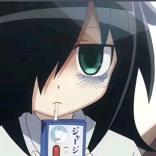 一只小月月