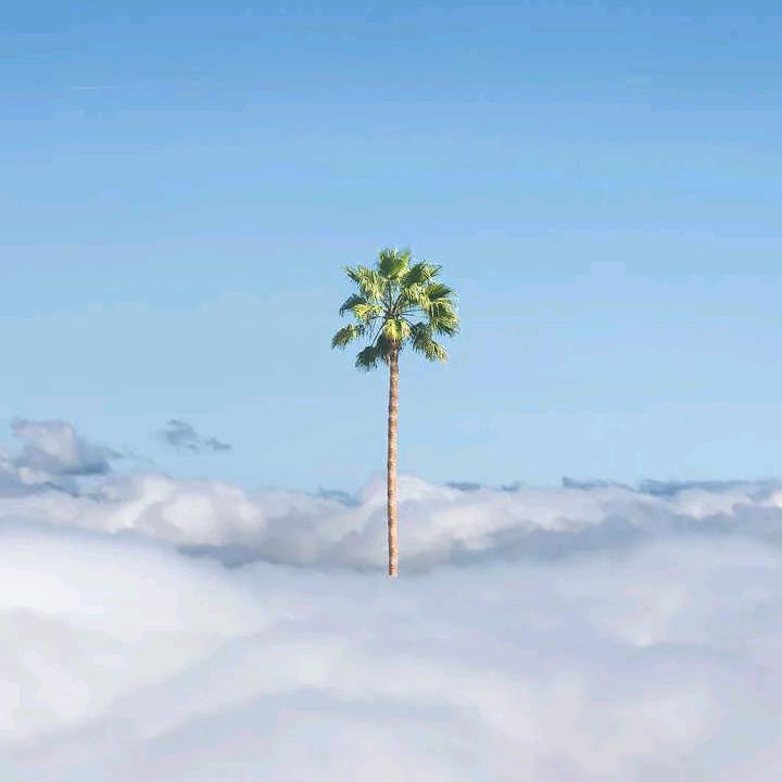 一个不正经的电影解说