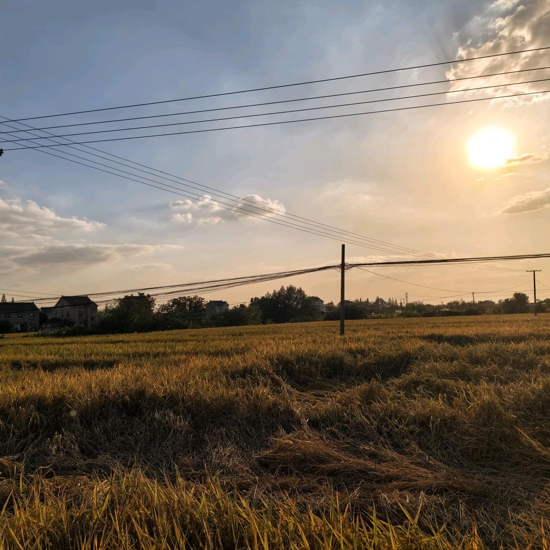 🌻名字白改了