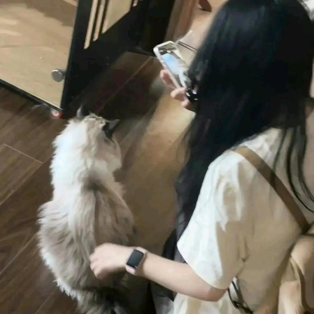 追風者.