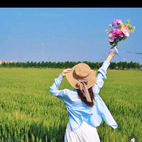 @往🍂事💖清🍃零🌾