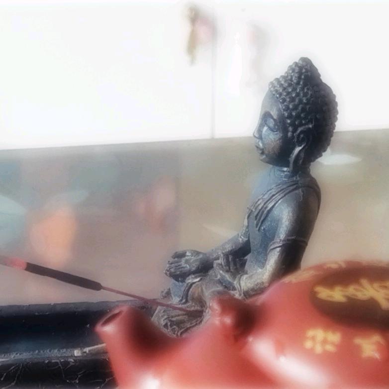 南方有乔木0112