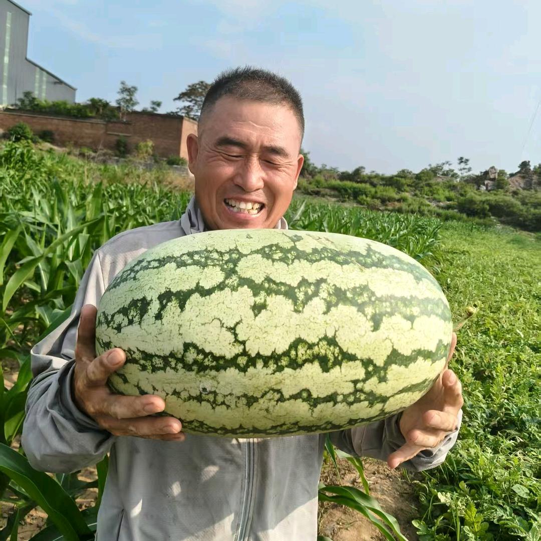 武安牛牛