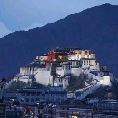 冷漠无情的世界